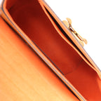 Louis Vuitton Twist MM Catgram x Taurillon Crossbody Bag in Brown x Orange M44408