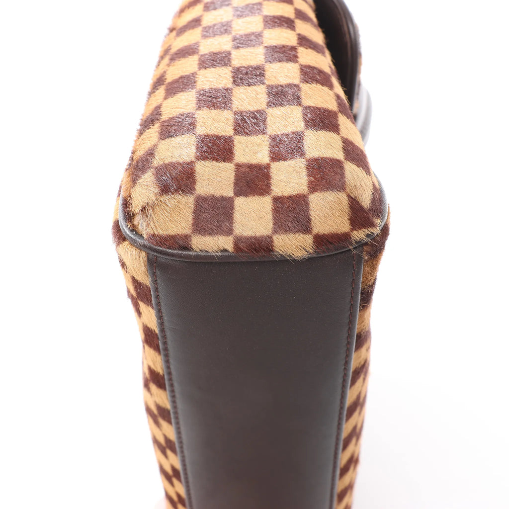 Louis Vuitton Lionne Damier Sauvage Pony-style Leather Handbag in Brown M92131