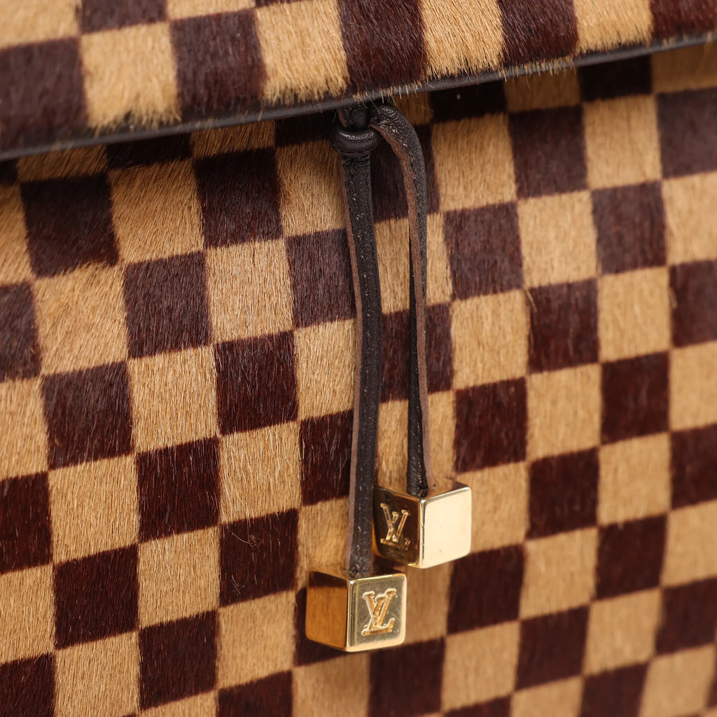 Louis Vuitton Lionne Damier Sauvage Pony-style Leather Handbag in Brown M92131