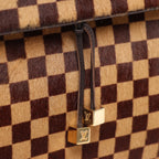 Louis Vuitton Lionne Damier Sauvage Pony-style Leather Handbag in Brown M92131
