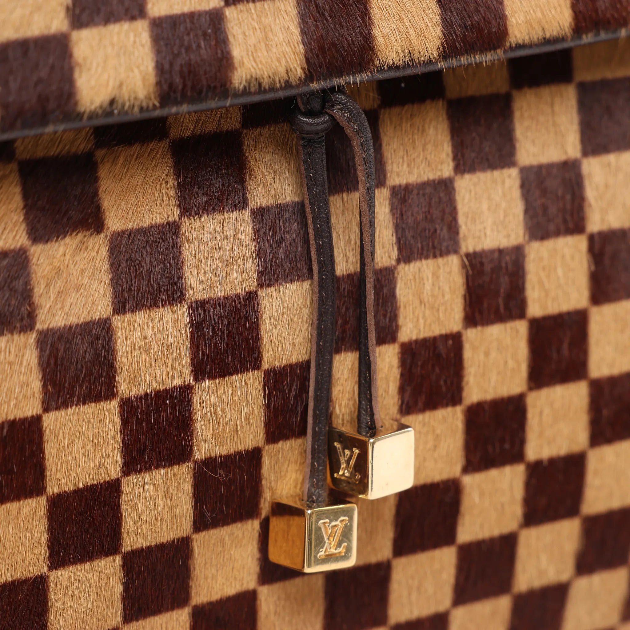 Louis Vuitton Lionne Damier Sauvage Pony-style Leather Handbag in Brown M92131