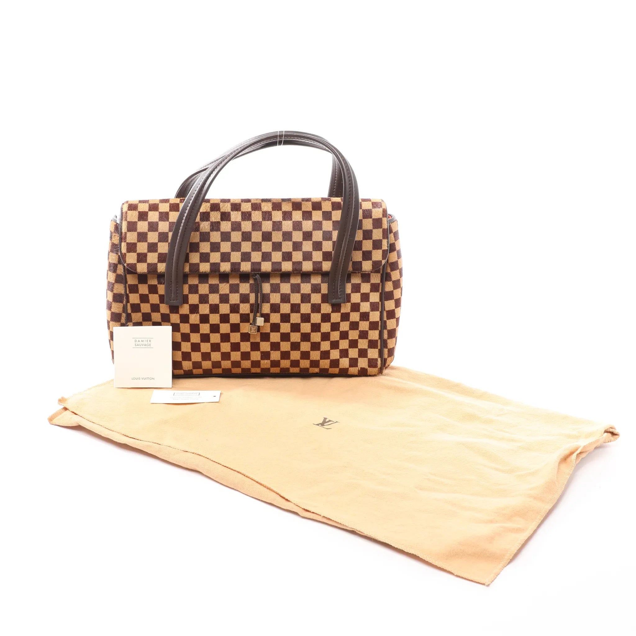 Louis Vuitton Lionne Damier Sauvage Pony-style Leather Handbag in Brown M92131