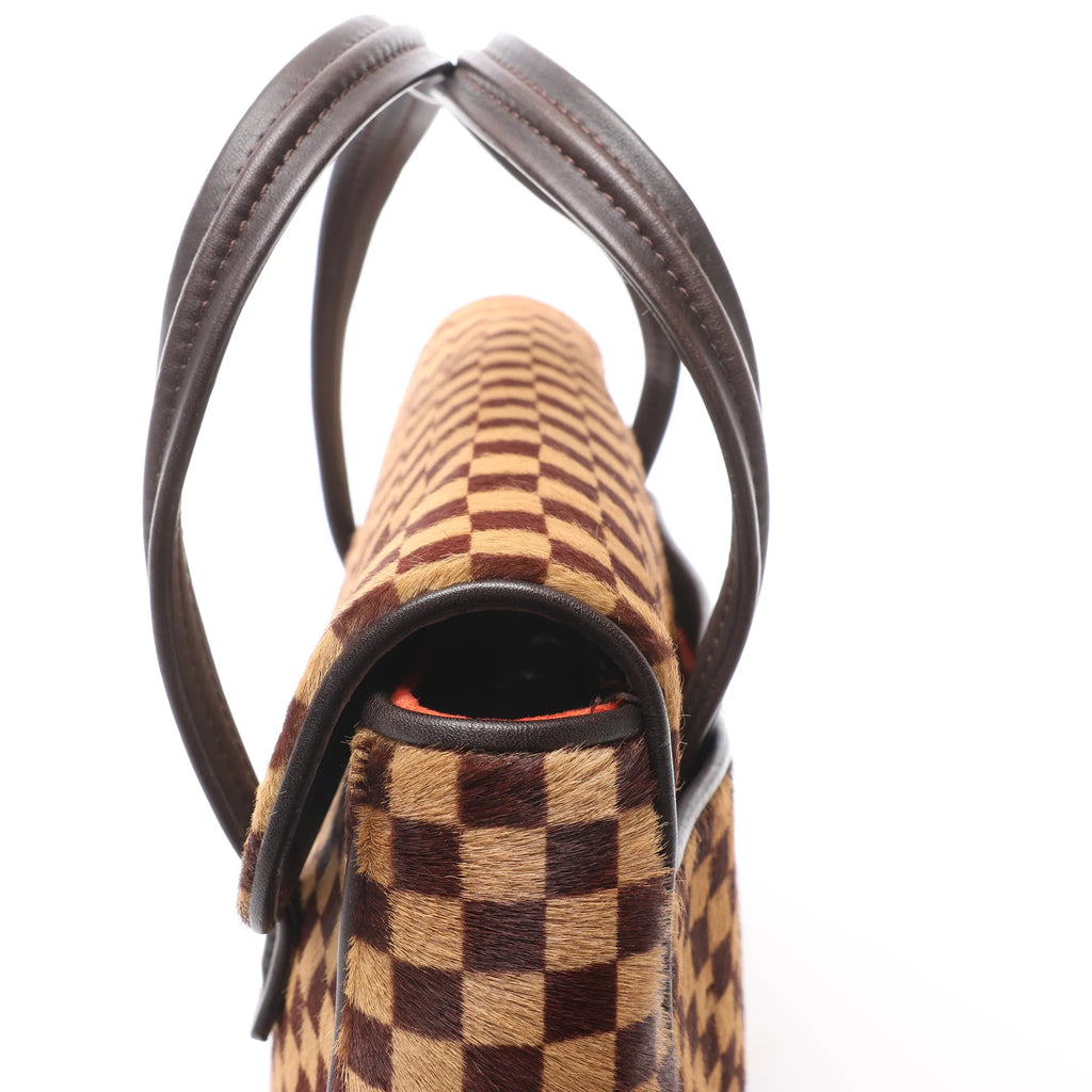 Louis Vuitton Lionne Damier Sauvage Pony-style Leather Handbag in Brown M92131