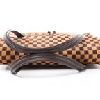 Louis Vuitton Lionne Damier Sauvage Pony-style Leather Handbag in Brown M92131