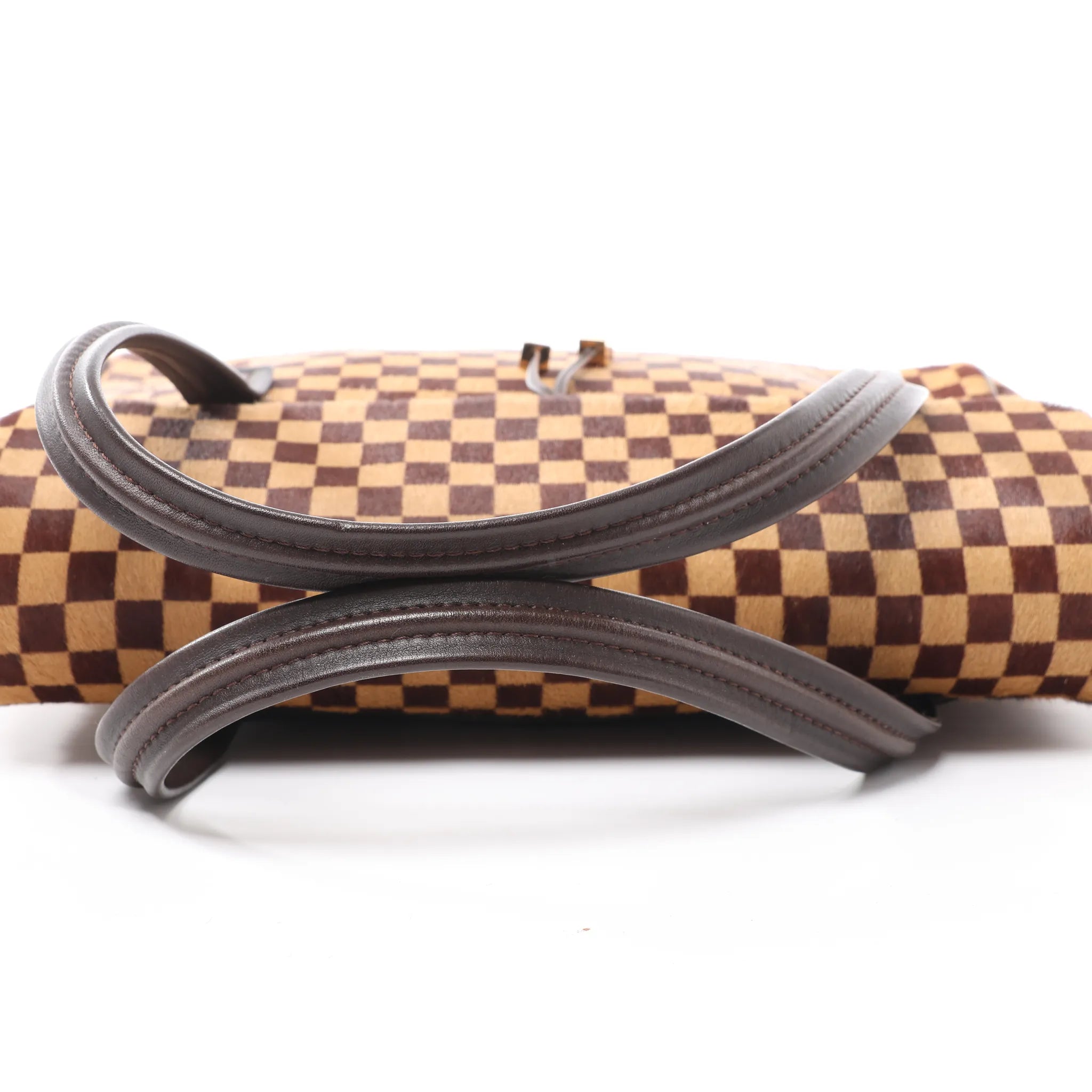 Louis Vuitton Lionne Damier Sauvage Pony-style Leather Handbag in Brown M92131