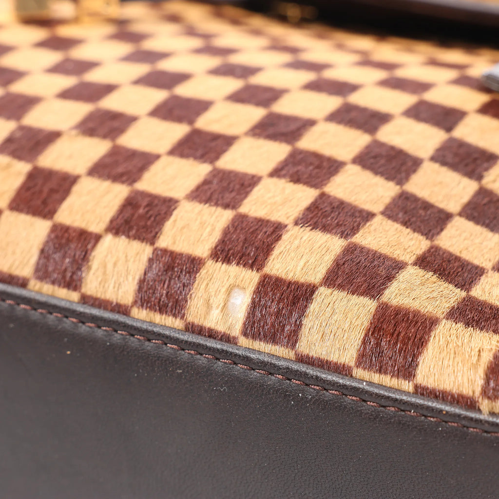 Louis Vuitton Lionne Damier Sauvage Pony-style Leather Handbag in Brown M92131