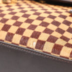 Louis Vuitton Lionne Damier Sauvage Pony-style Leather Handbag in Brown M92131