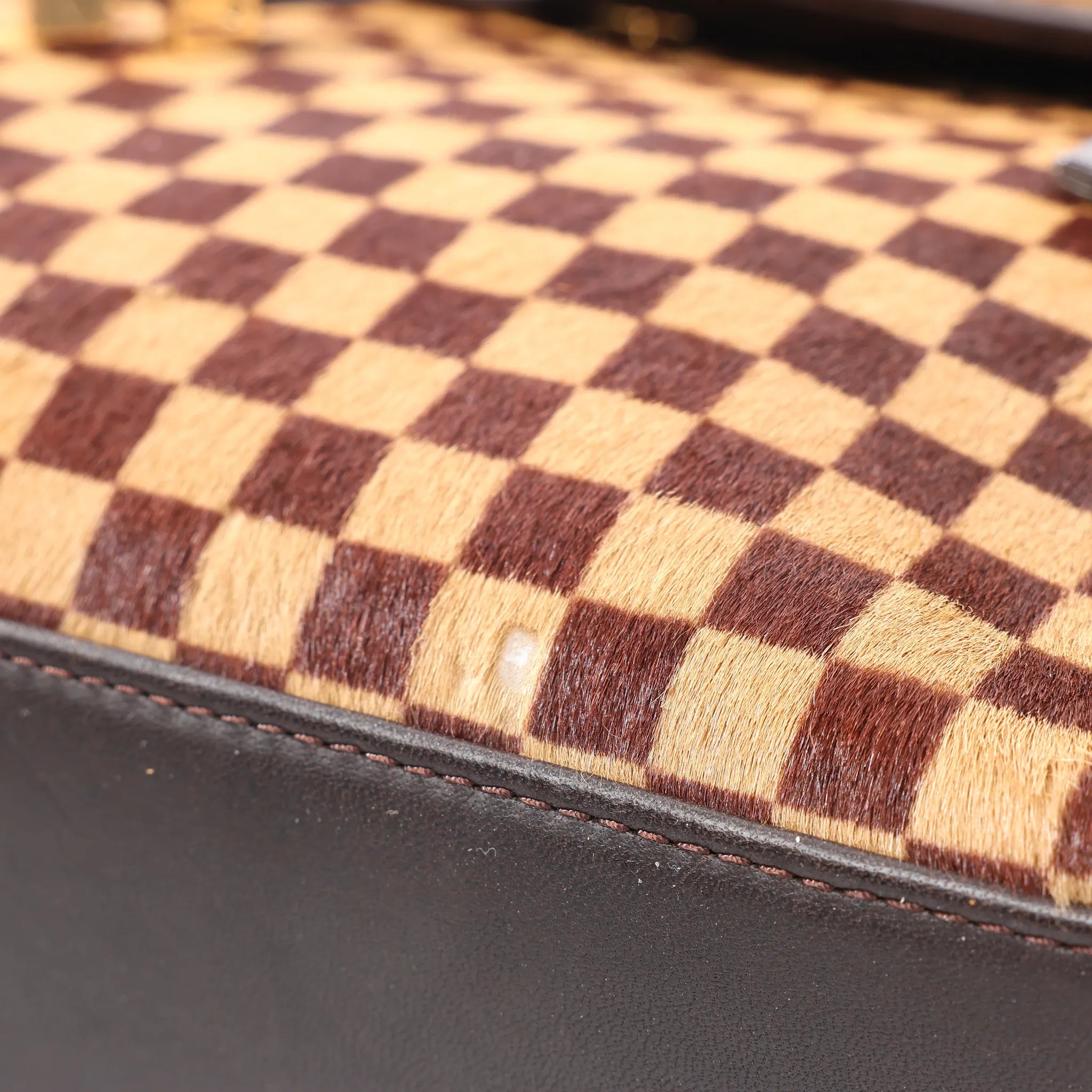 Louis Vuitton Lionne Damier Sauvage Pony-style Leather Handbag in Brown M92131