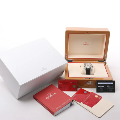 Omega Seamaster Aqua Terra Co-Axial 220.12.41.21.02.002 SS & Rubber AT Silver Dial Watch