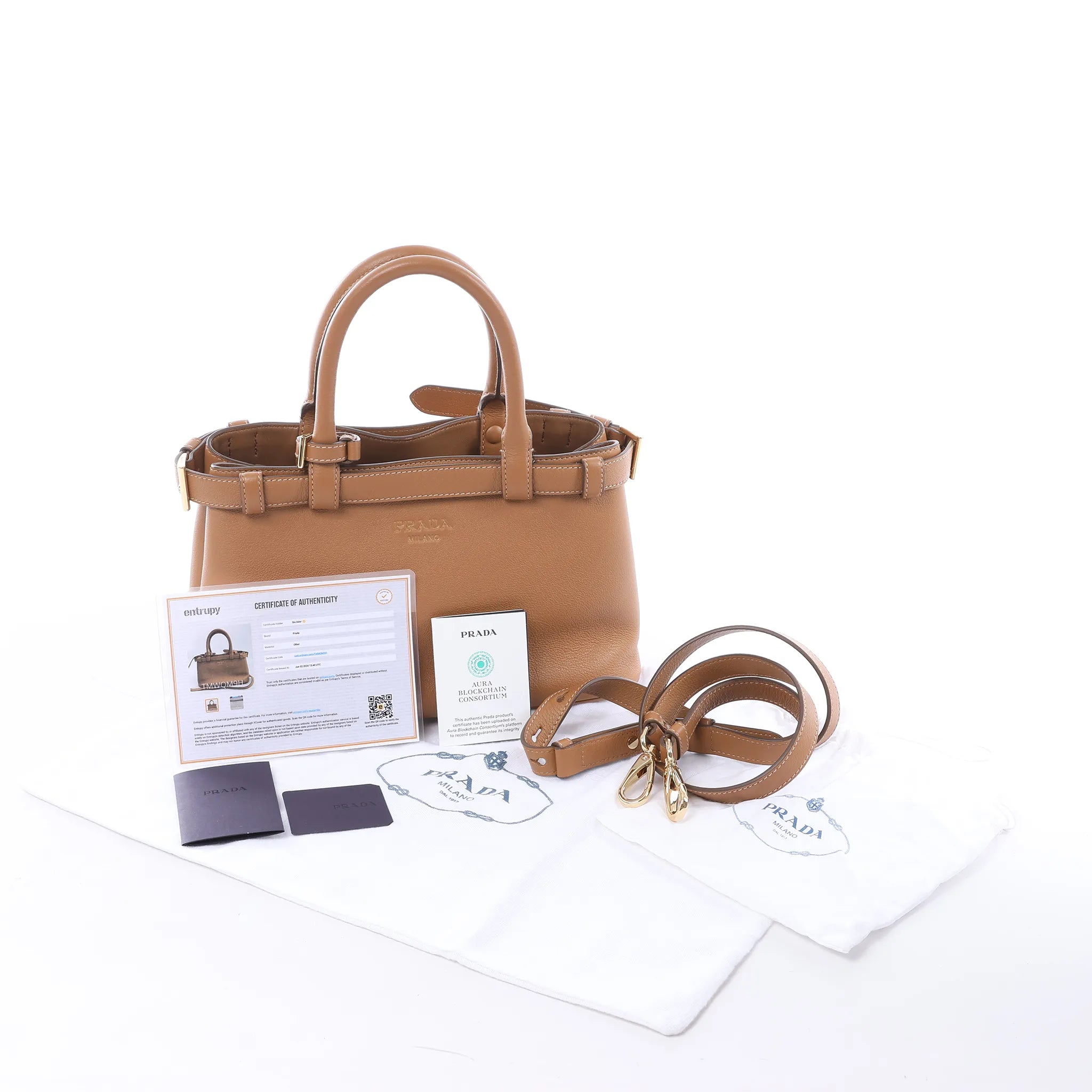 Prada Buckle Soft Grain Leather Small 2Way Handbag in Brown 1BA418