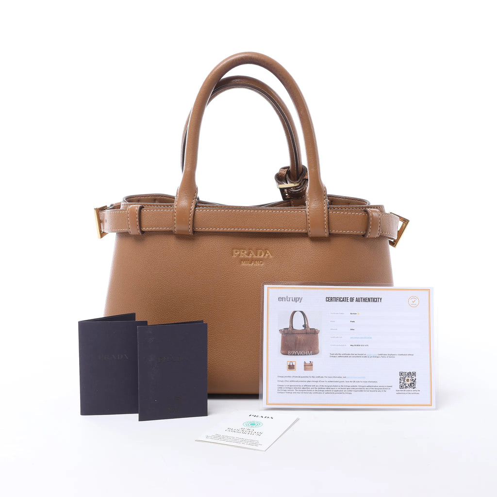 Prada Buckle Soft Grain Leather Small Handbag in Brown