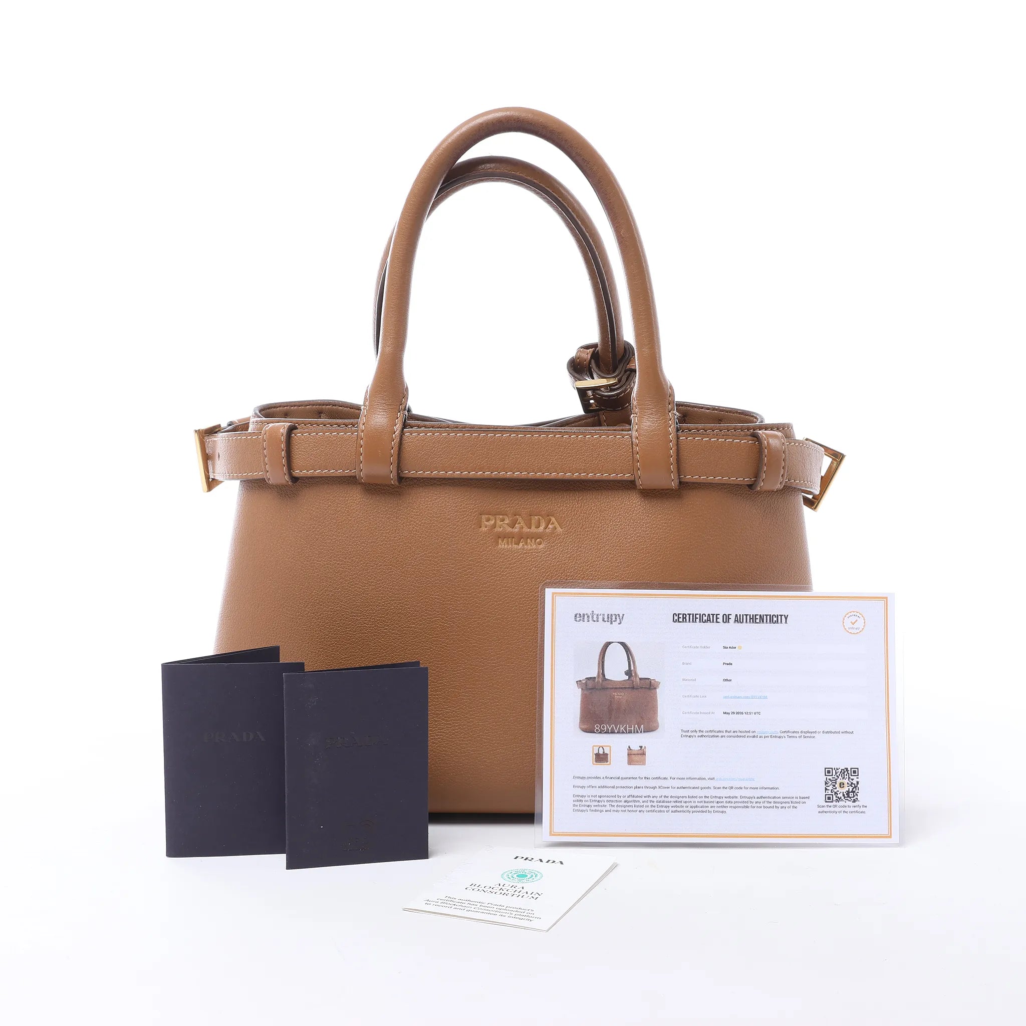Prada Buckle Soft Grain Leather Small Handbag in Brown