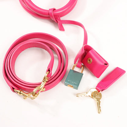 Saint Laurent Paris Sac de Jour Leather 2way Handbag in Pink 355153