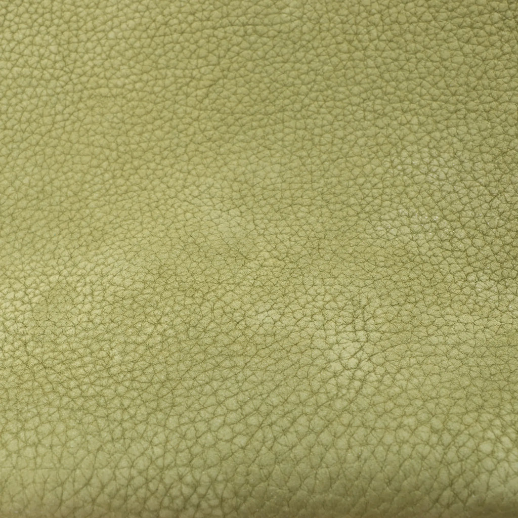 The Row Park Tote Small Leather Shoulder bag in Green