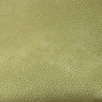 The Row Park Tote Small Leather Shoulder bag in Green