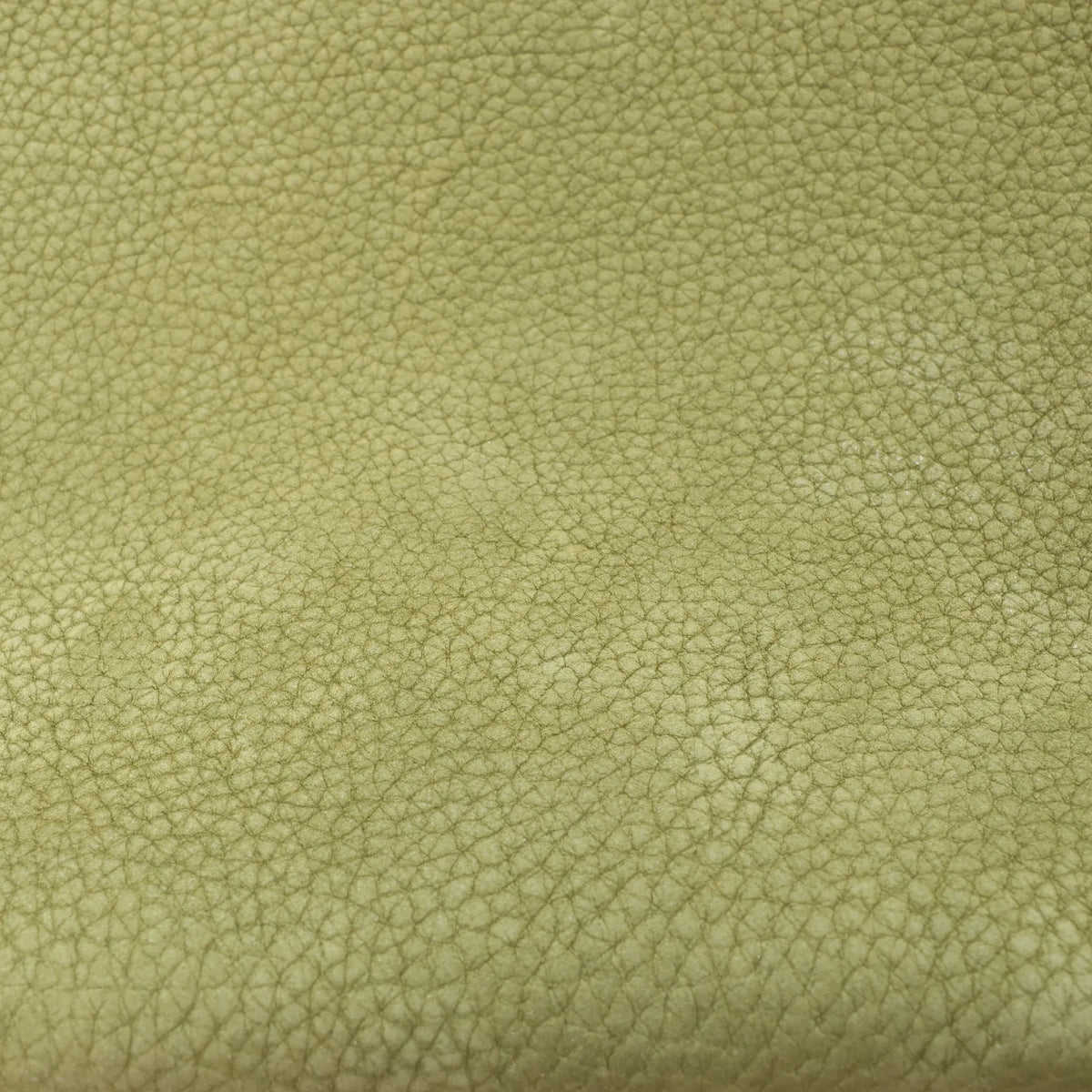 The Row Park Tote Small Leather Shoulder bag in Green